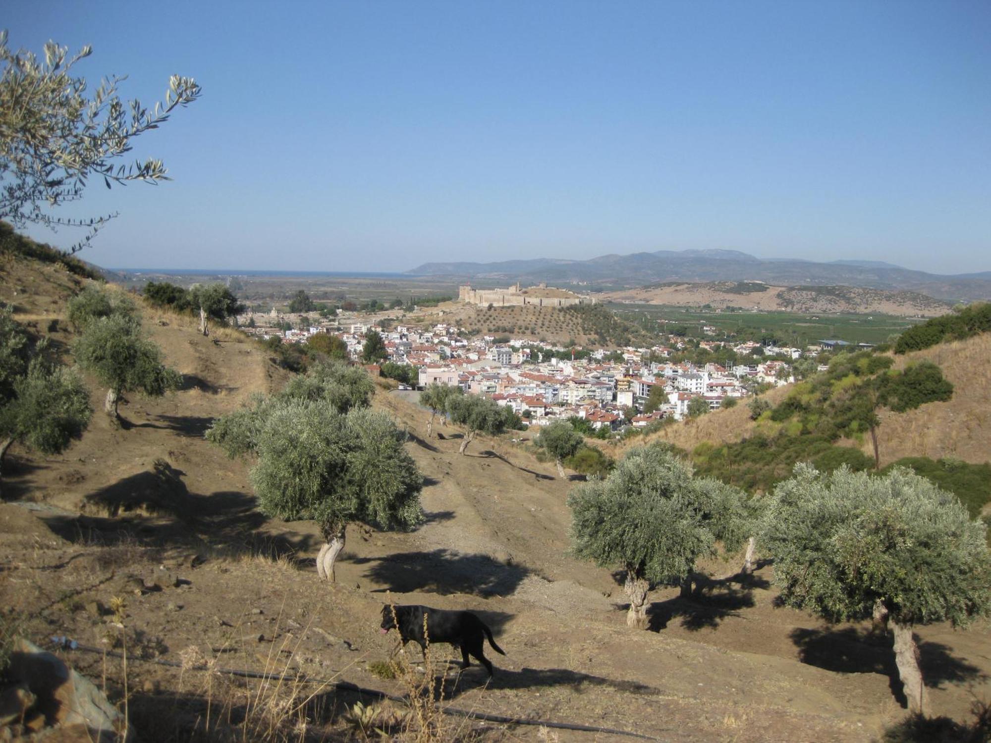Villa Manzara Selcuk Exteriér fotografie